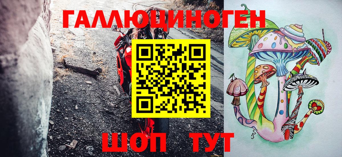 Псилоцибиновые грибы мицелий Карталы